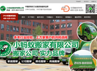 小蚂蚁搬家缩略图