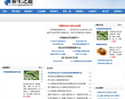 养生之道网缩略图