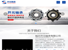 临沂开元轴承缩略图
