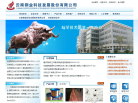 云铜科技缩略图