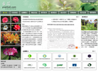云南省花卉协会缩略图