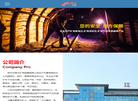 扬中市南方矿用电器缩略图