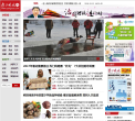 扬子晚报网缩略图