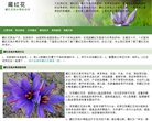 藏红花的功效与作用缩略图