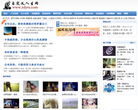 自定义人生网缩略图