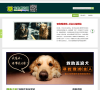 宠物赠送网缩略图