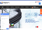 深圳市德盛电气缩略图