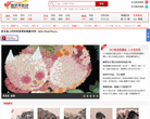 中国艺术批评网缩略图