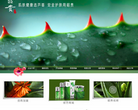 北京昭贵科技开发有限责任公司缩略图