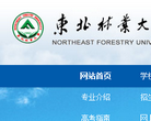东北林业大学招生信息网缩略图