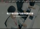 石家庄正和网络缩略图