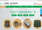 东莞市合东纸托制品缩略图
