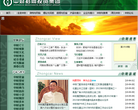 中财招商投资集团缩略图