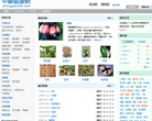 中药健康网缩略图