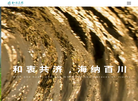 和海建设科技集团缩略图