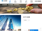 深圳市正蓝实业缩略图