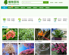 植物百科缩略图