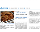 漳州新闻网缩略图