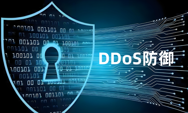 DDoS防御