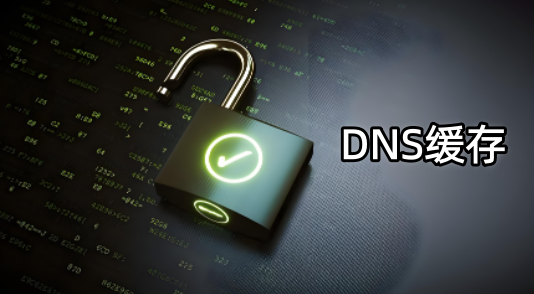DNS缓存