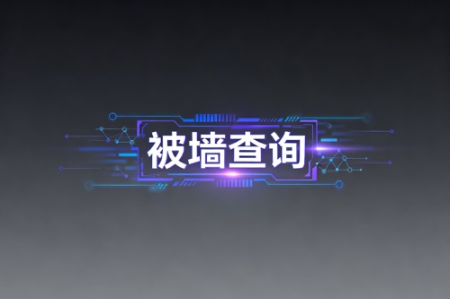 被墙查询