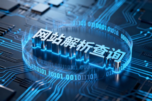 网站解析查询