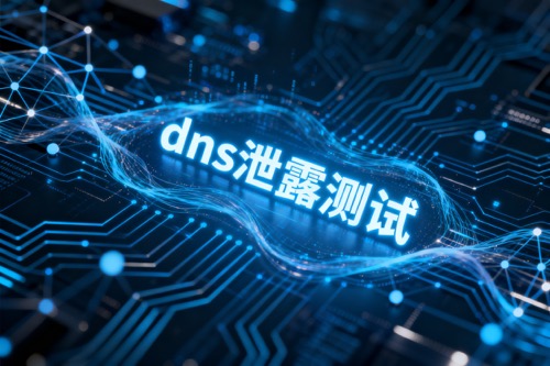 dns泄露测试