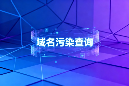 域名污染查询