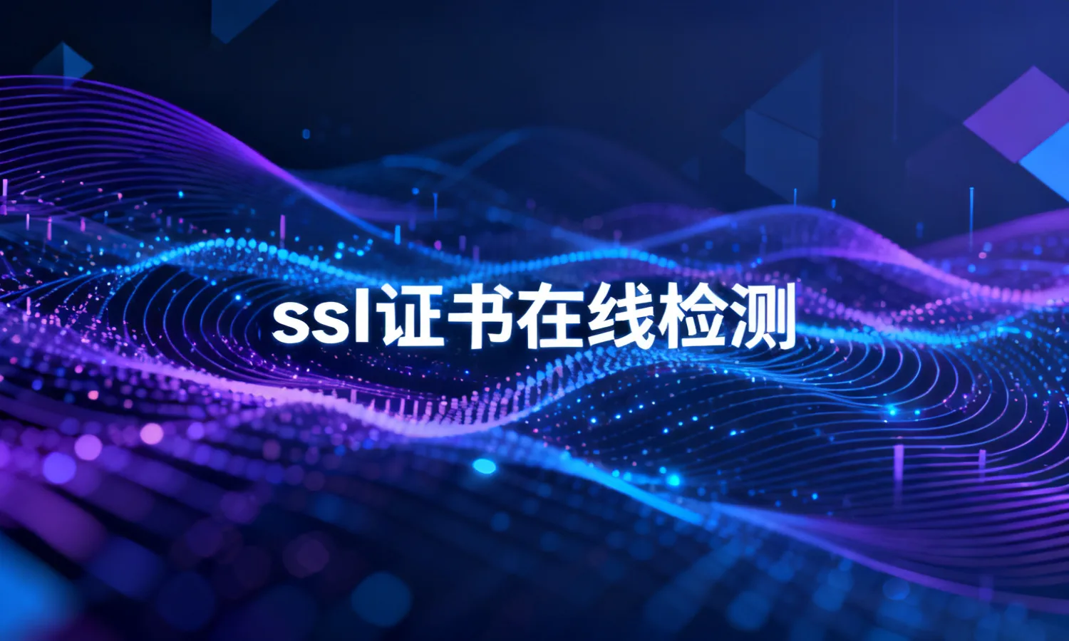 ssI证书在线检测