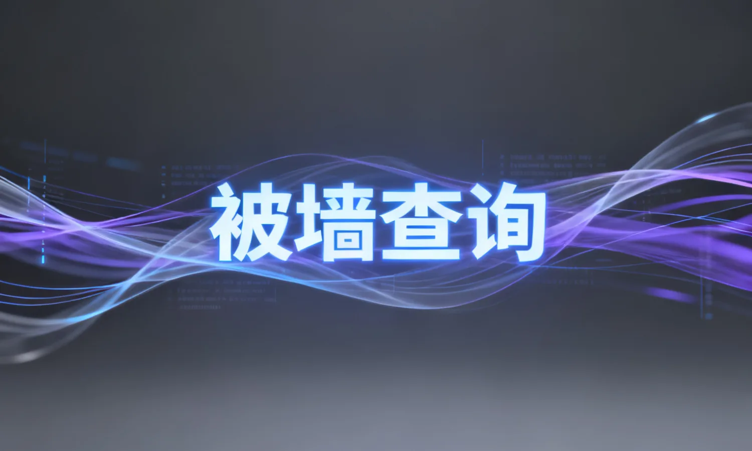 被墙查询