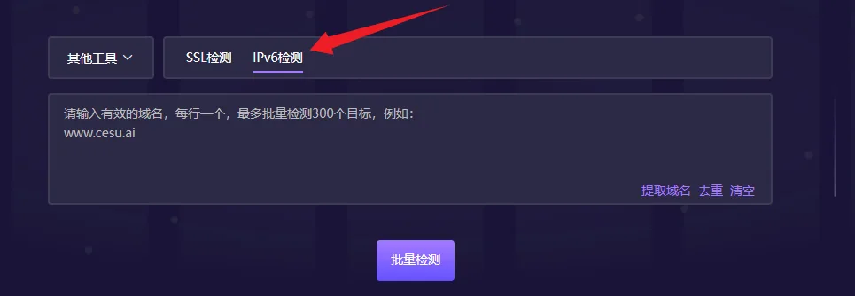 IPv6检测