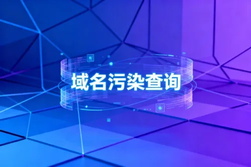域名污染查询
