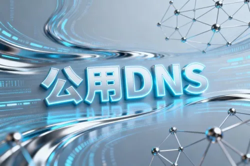 公用dns