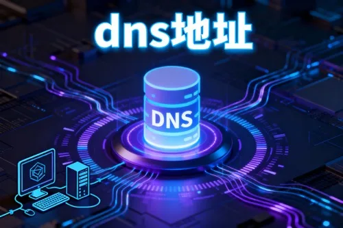 dns地址