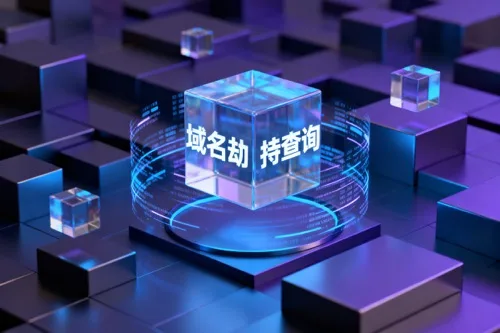 域名劫持查询