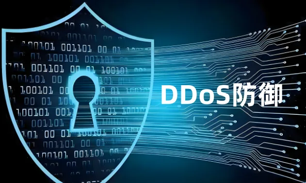 DDoS防御
