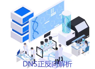 DNS正反向解析