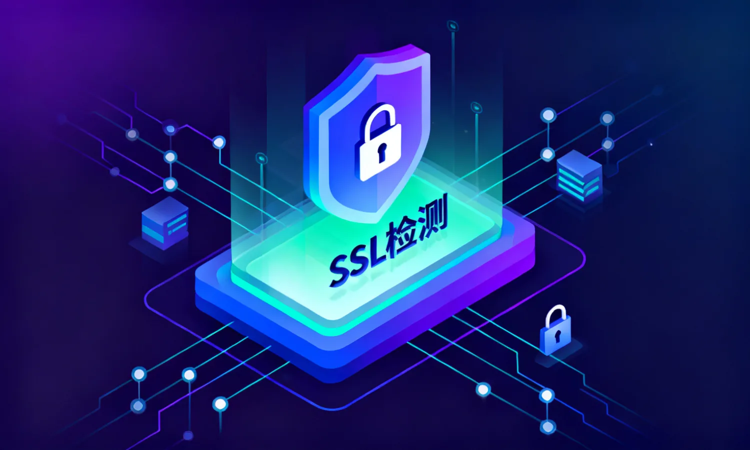 SSL检测