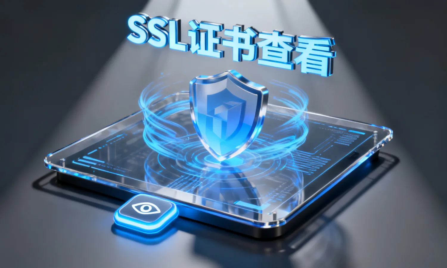SSL证书查看