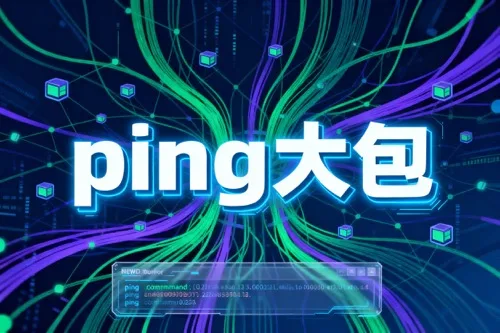 ping大包