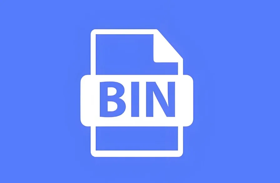 bin文件