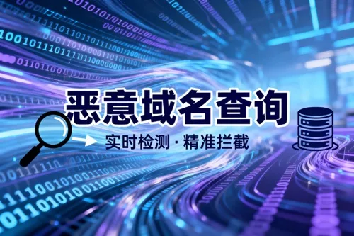 恶意域名查询
