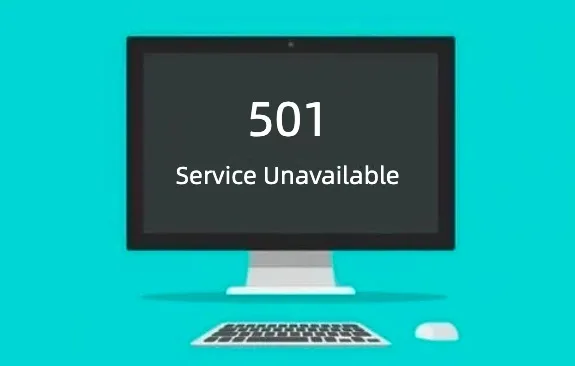 错误代码501