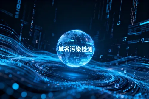 域名污染检测