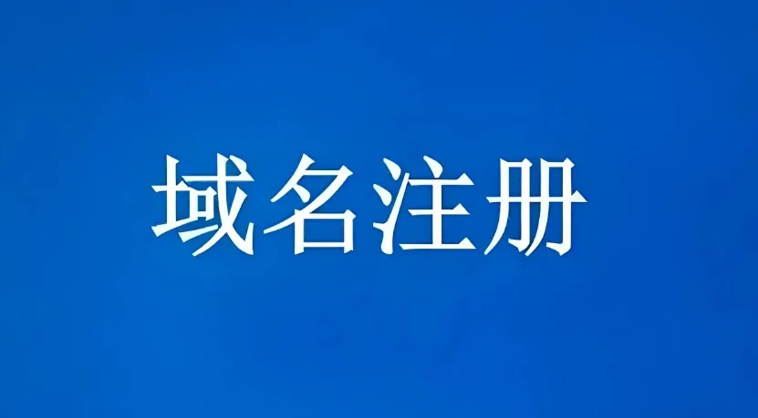 域名注册人