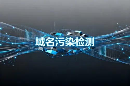 域名污染检测