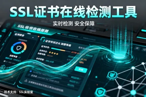 SSL证书在线检测工具