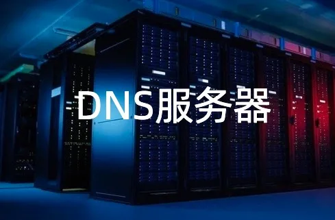 DNS服务器