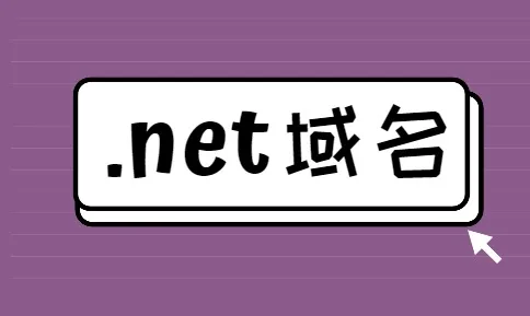net域名