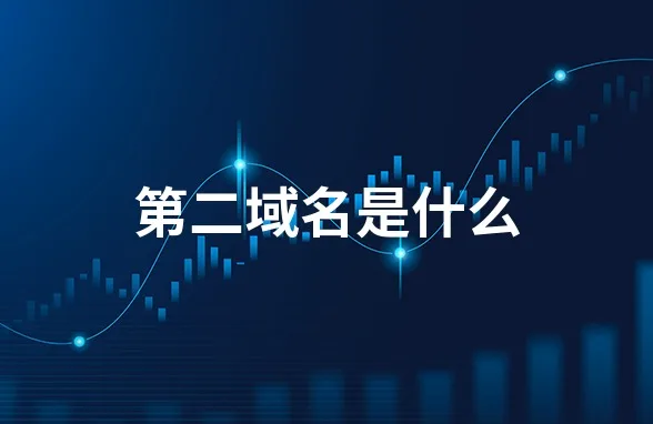 第二域名